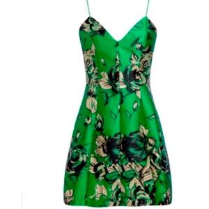 Alice and Olivia - Tayla dress